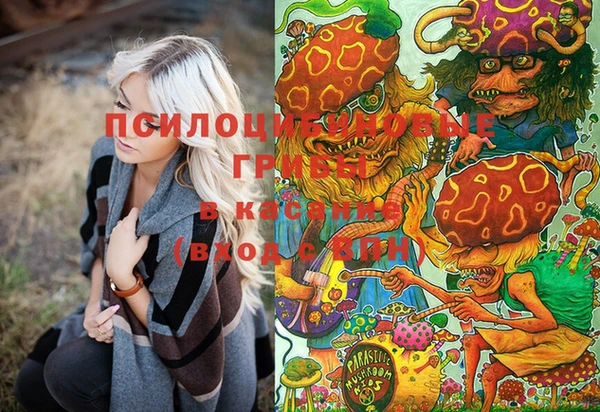 винт Бородино