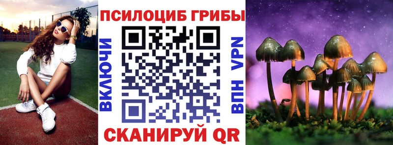 Псилоцибиновые грибы мицелий что такое Оренбург